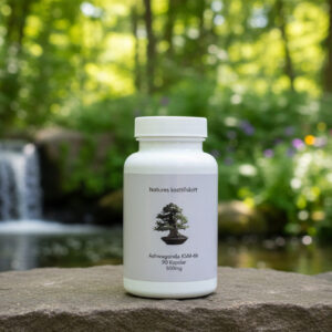 Natures Ashwagandha komplex ksm-66 90 kapslar